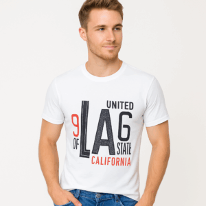Graphic Printed Casual Round Neck Regular T-Shirt